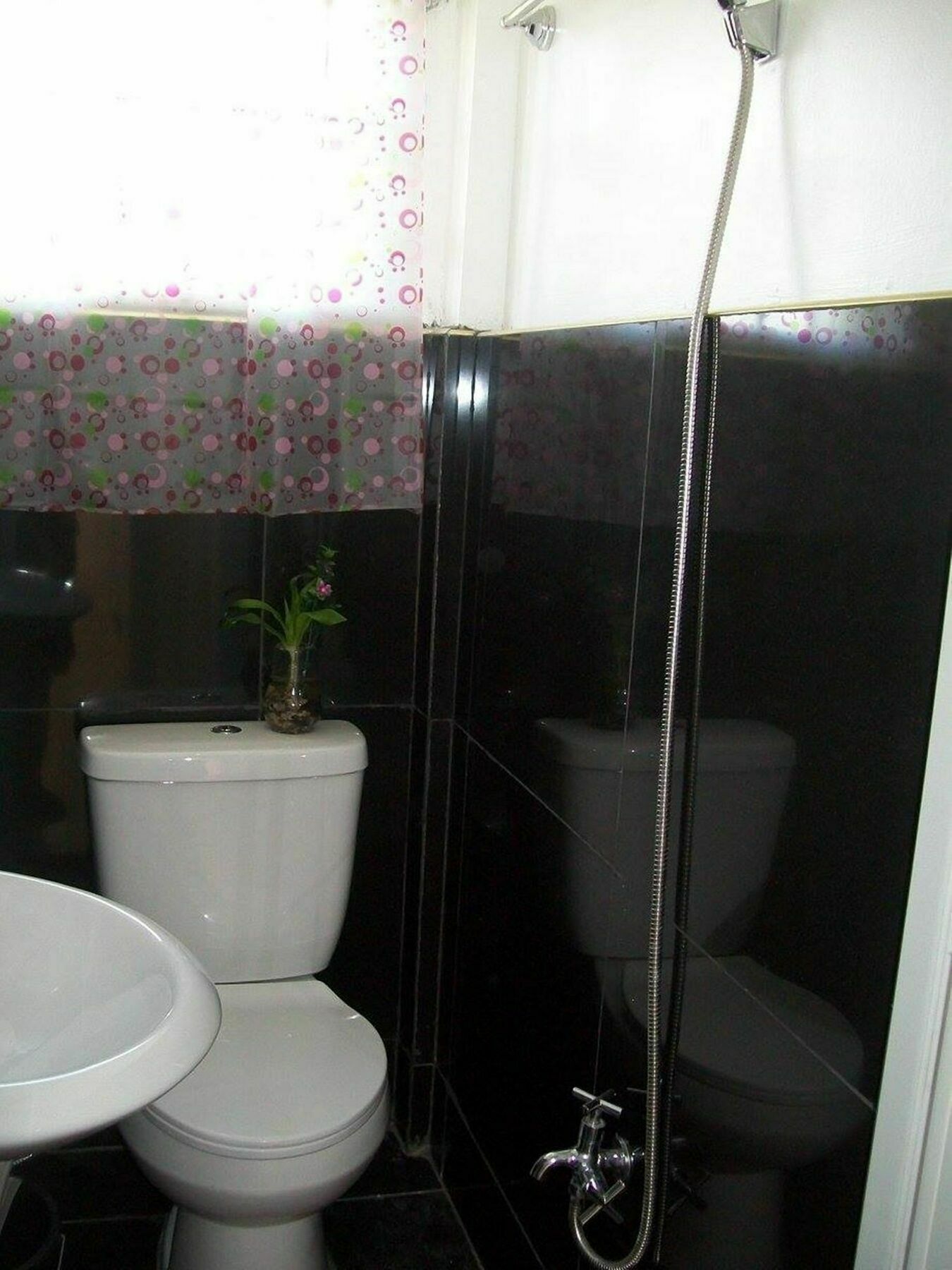 Charm Guest House بويرتو برينسيسا المظهر الخارجي الصورة